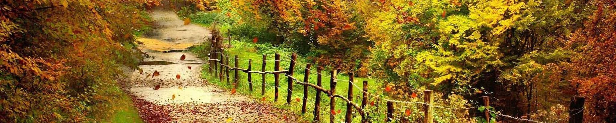 Cover for Jessie Kirk's Obituary