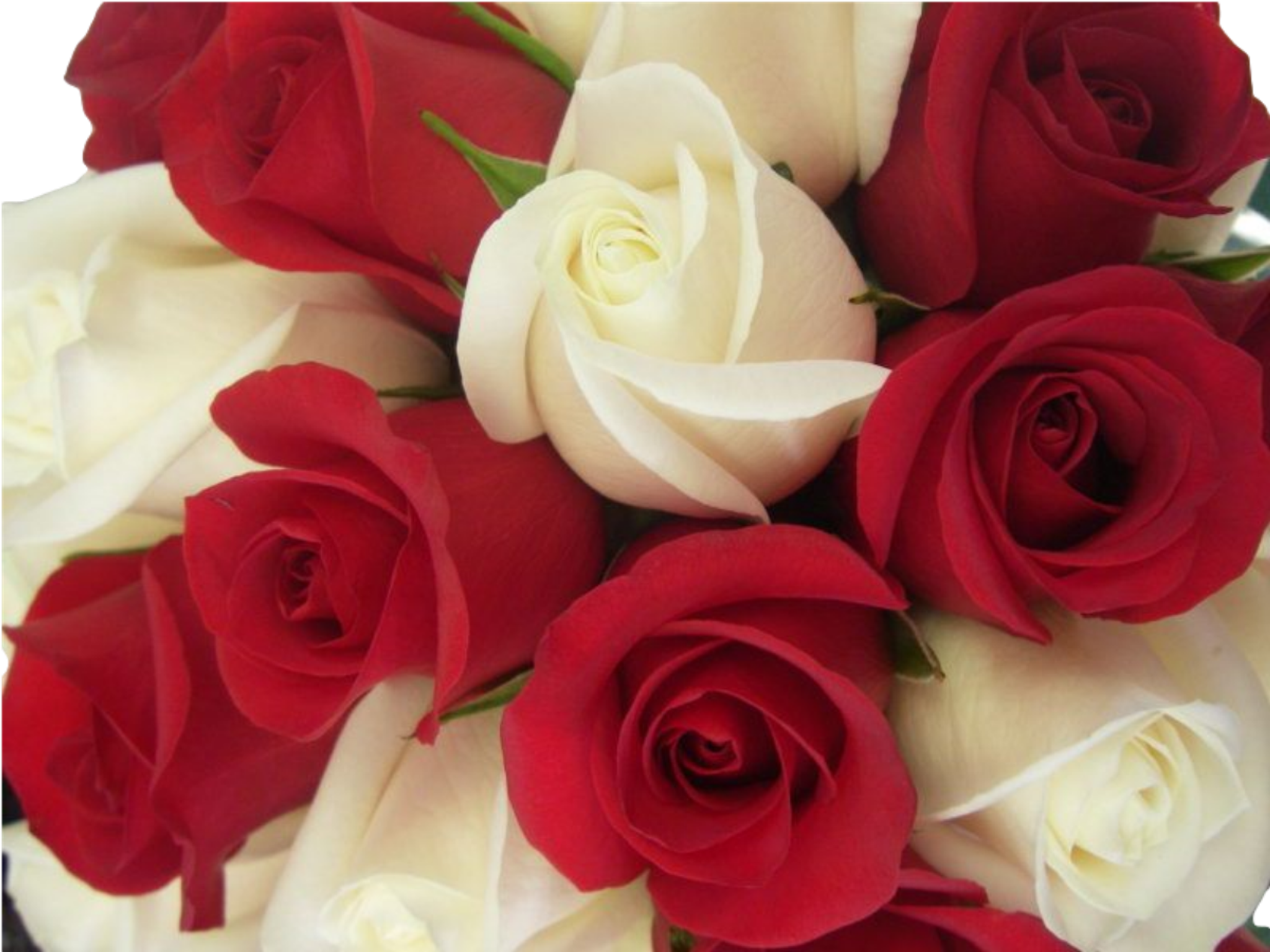 Cover photo for Betty Jean Hyman's Obituary