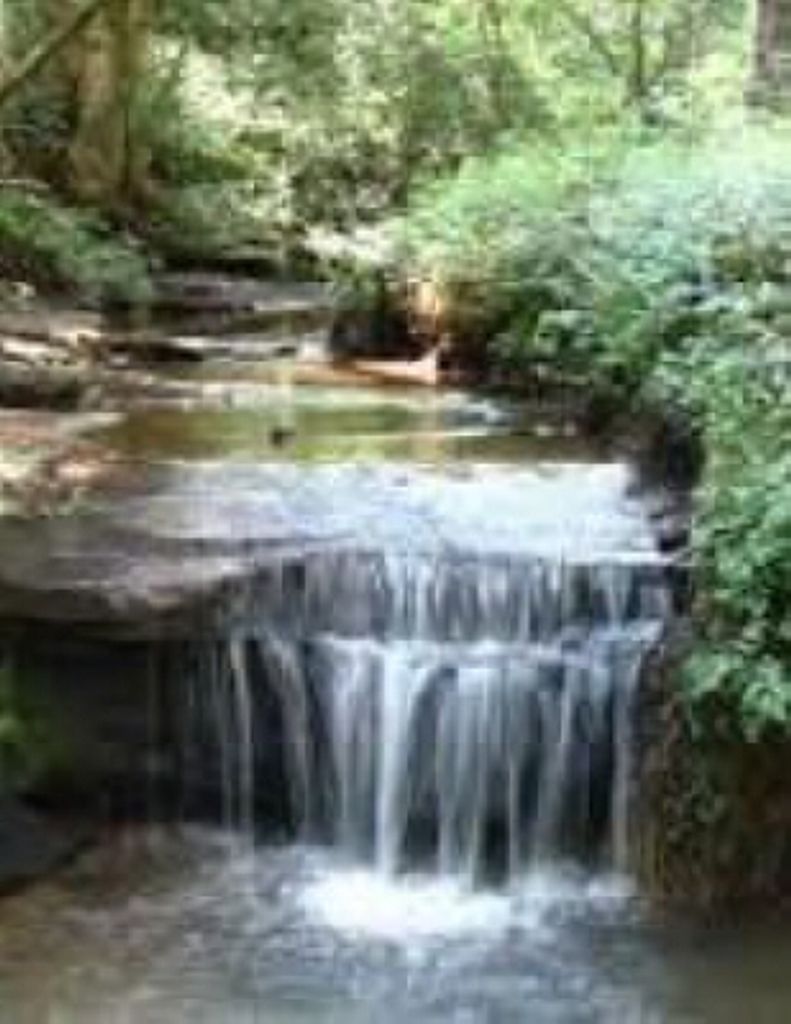 Jefferson Daniel Taylor