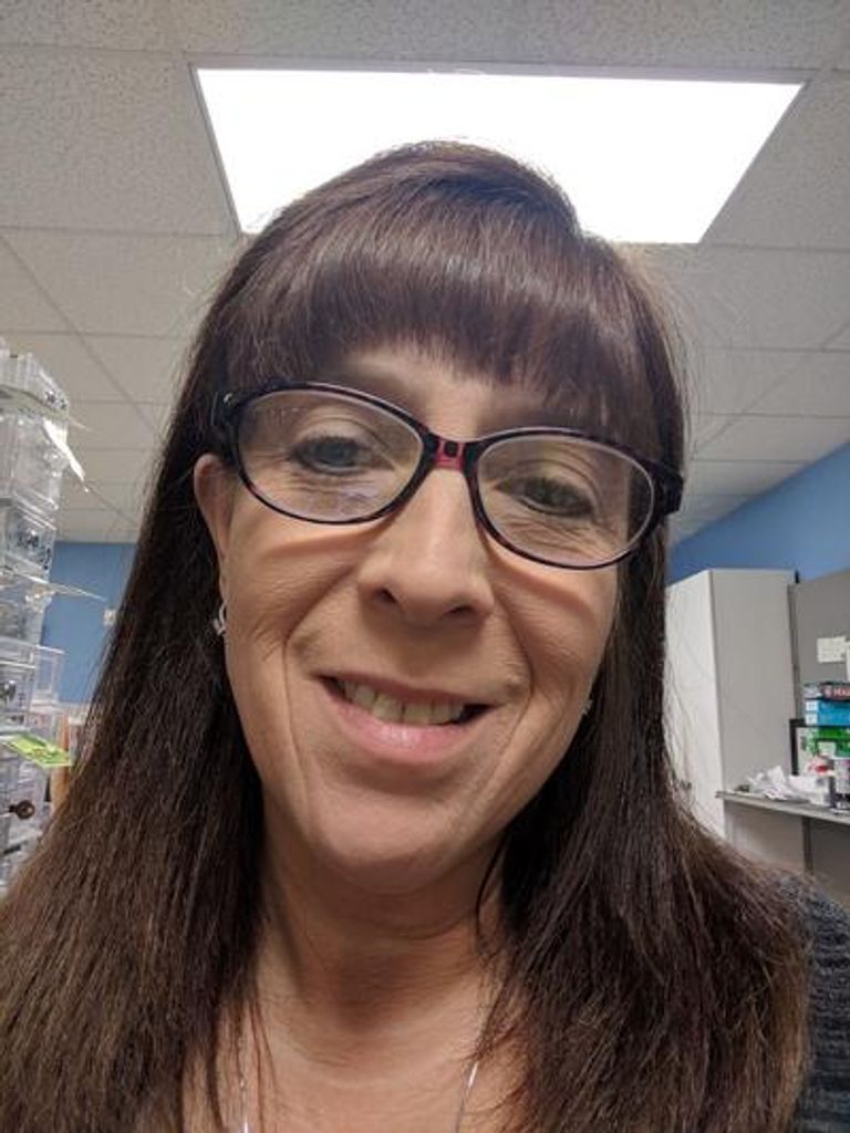 Alexandria Stone Ferrell