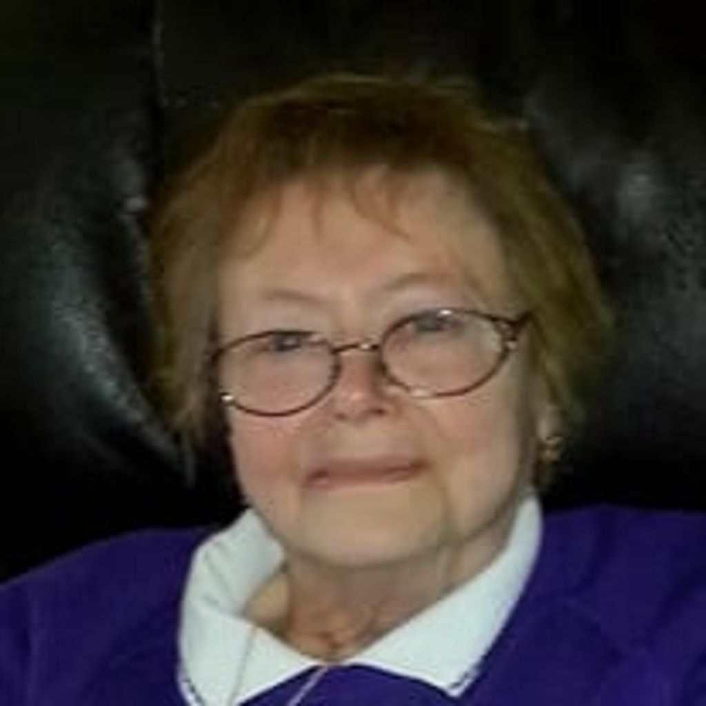Sally Ann Costanzo Profile Photo
