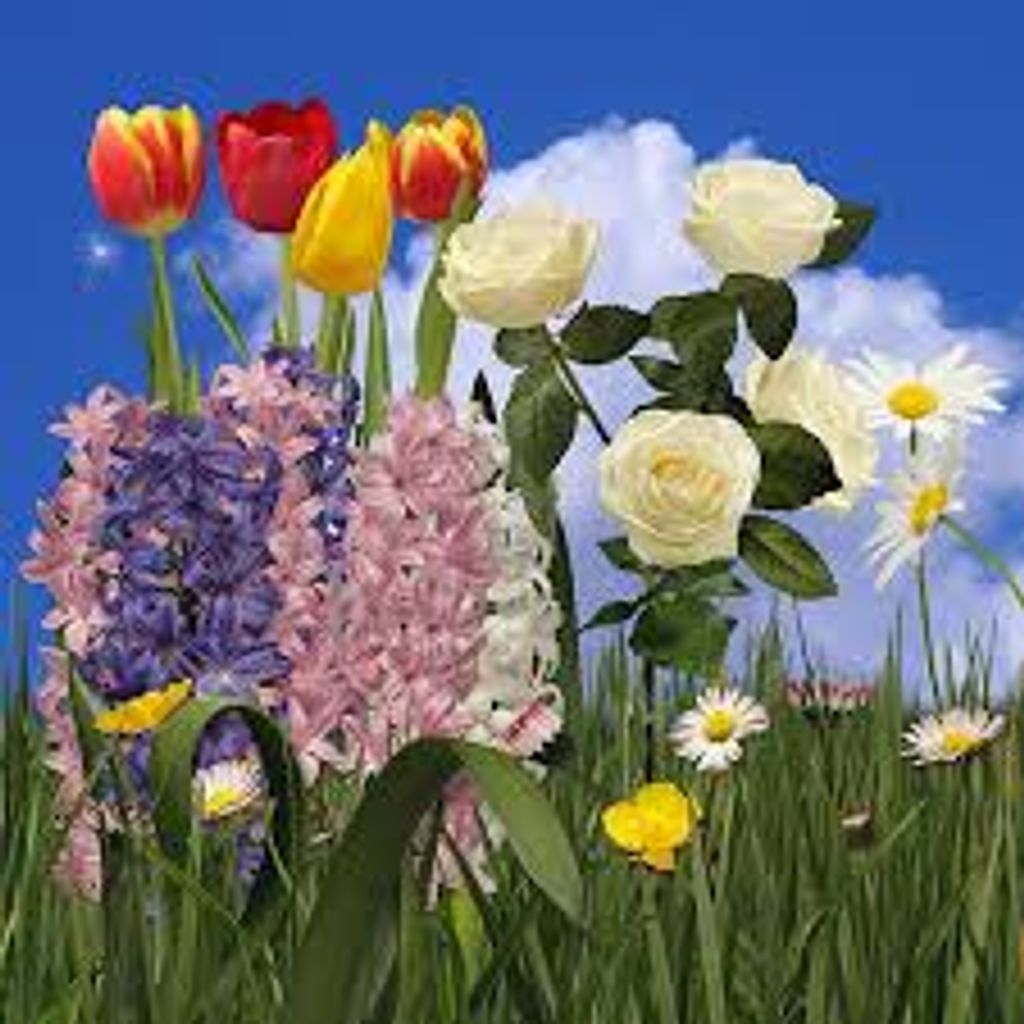 Beverly Agnes Allen Piroh