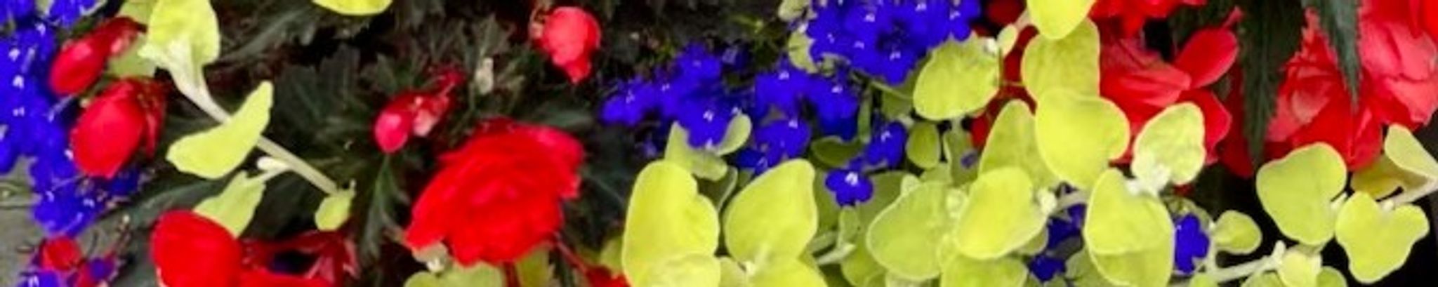 Cover for Duane & Shelbee Jean Kaufman's Obituary