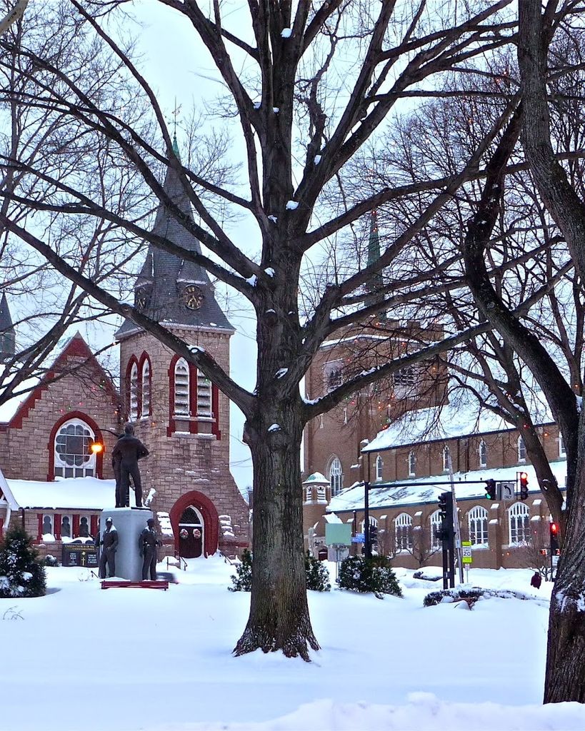 Mary T. (Kelly) Paras Profile Photo