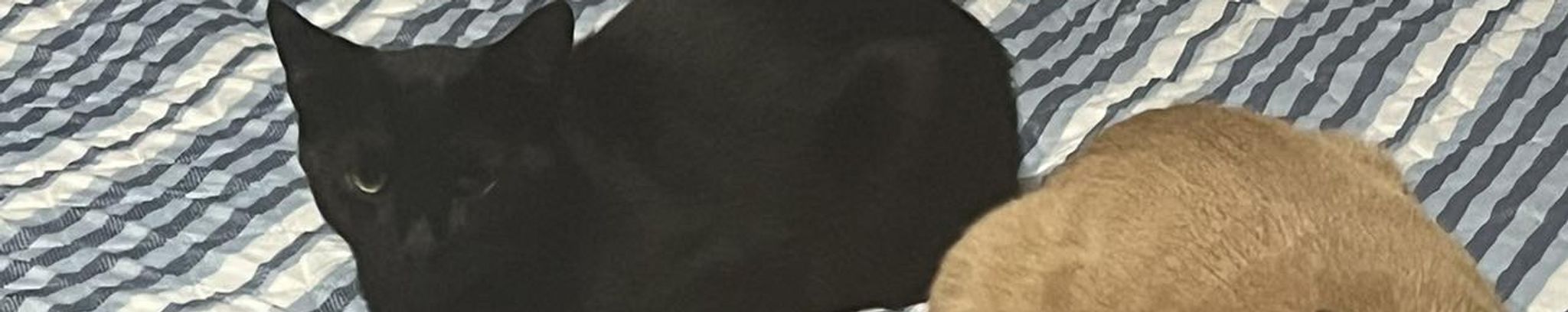 Cover photo for Jason Todd Crenshaw's Obituary