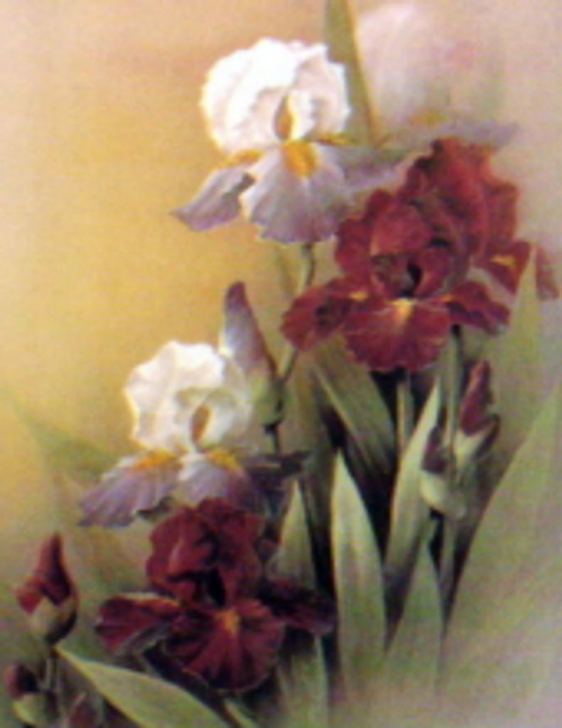 Katherine Fields