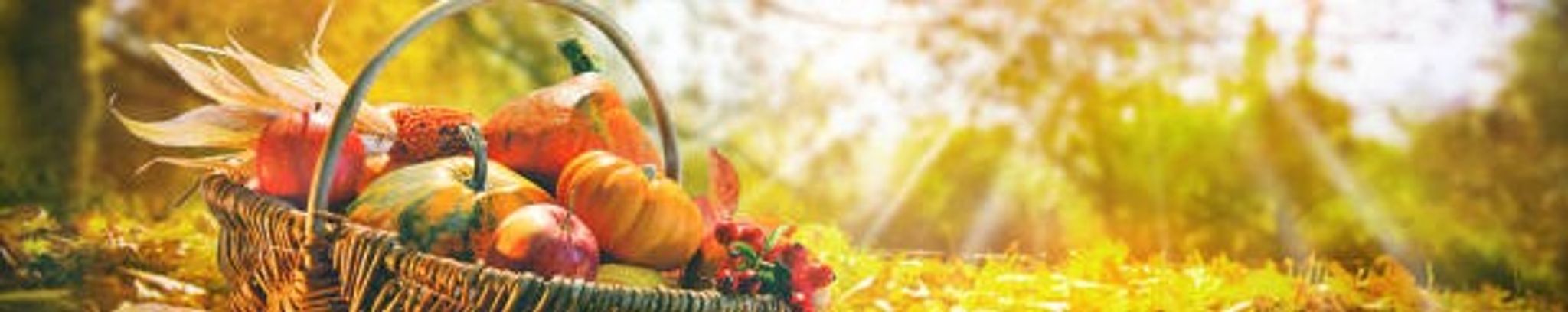 Cover for Regina Kay Stewart's Obituary