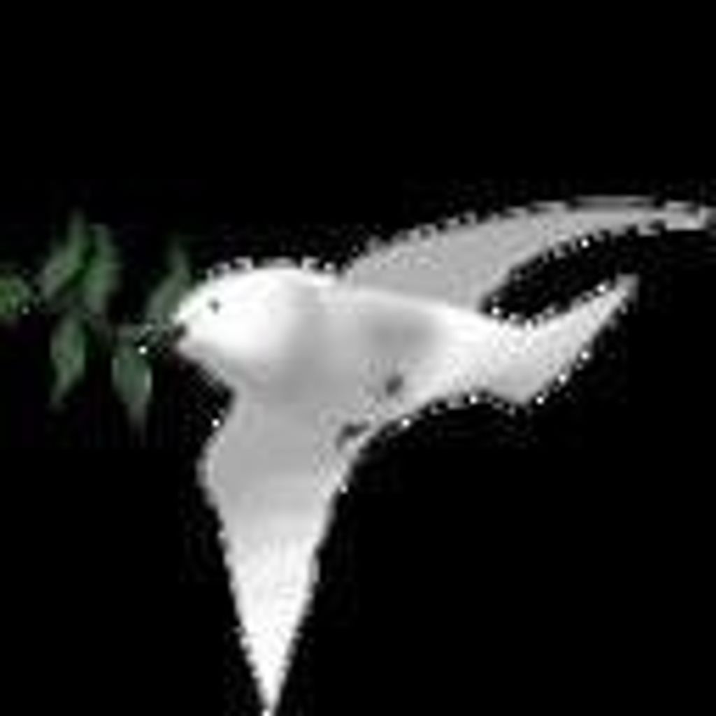 Regina Mae "Jeannie" Search