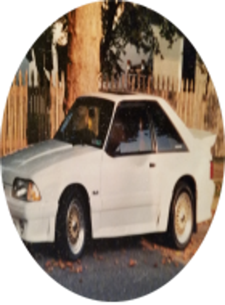 David Centorame Profile Photo