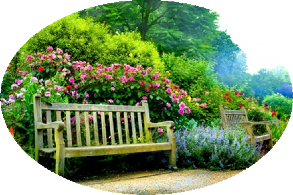 Elizabeth Cecelia Patton Profile Photo