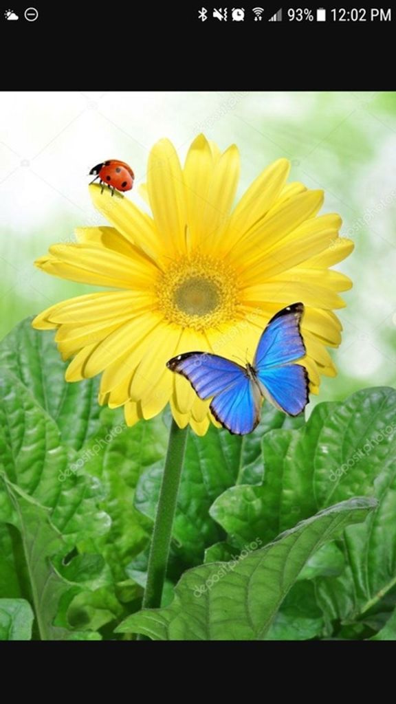 Briella Grace Heath Profile Photo