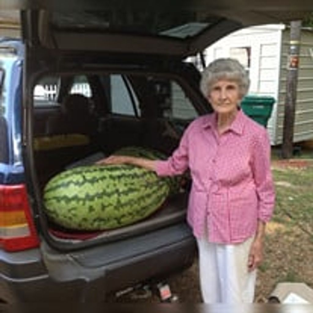 Jo Ann Carlisle