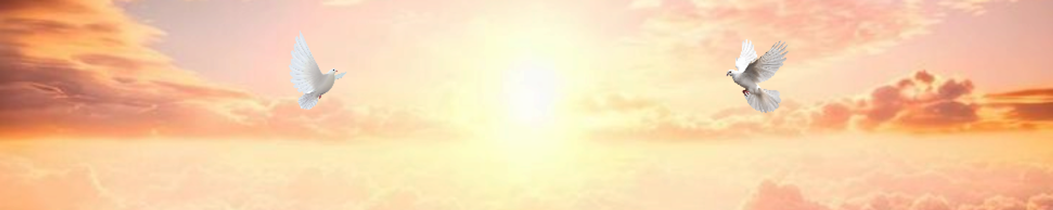 Cover for Grace Alice Goldston's Obituary