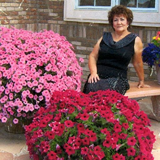 Patricia Ann Young Profile Photo