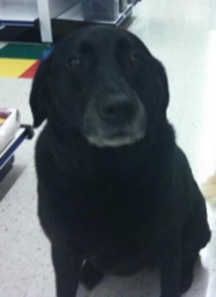 Maggie Dixon Profile Photo