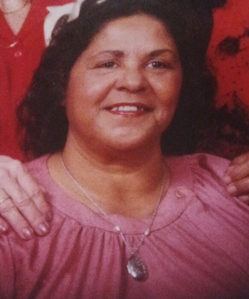 Sallie Ann (Pierce)  Stone