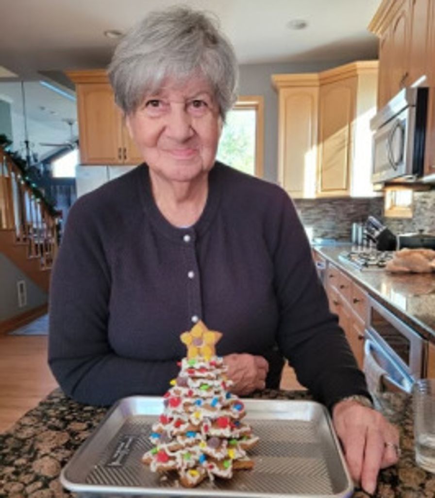 Ann Lonero Profile Photo