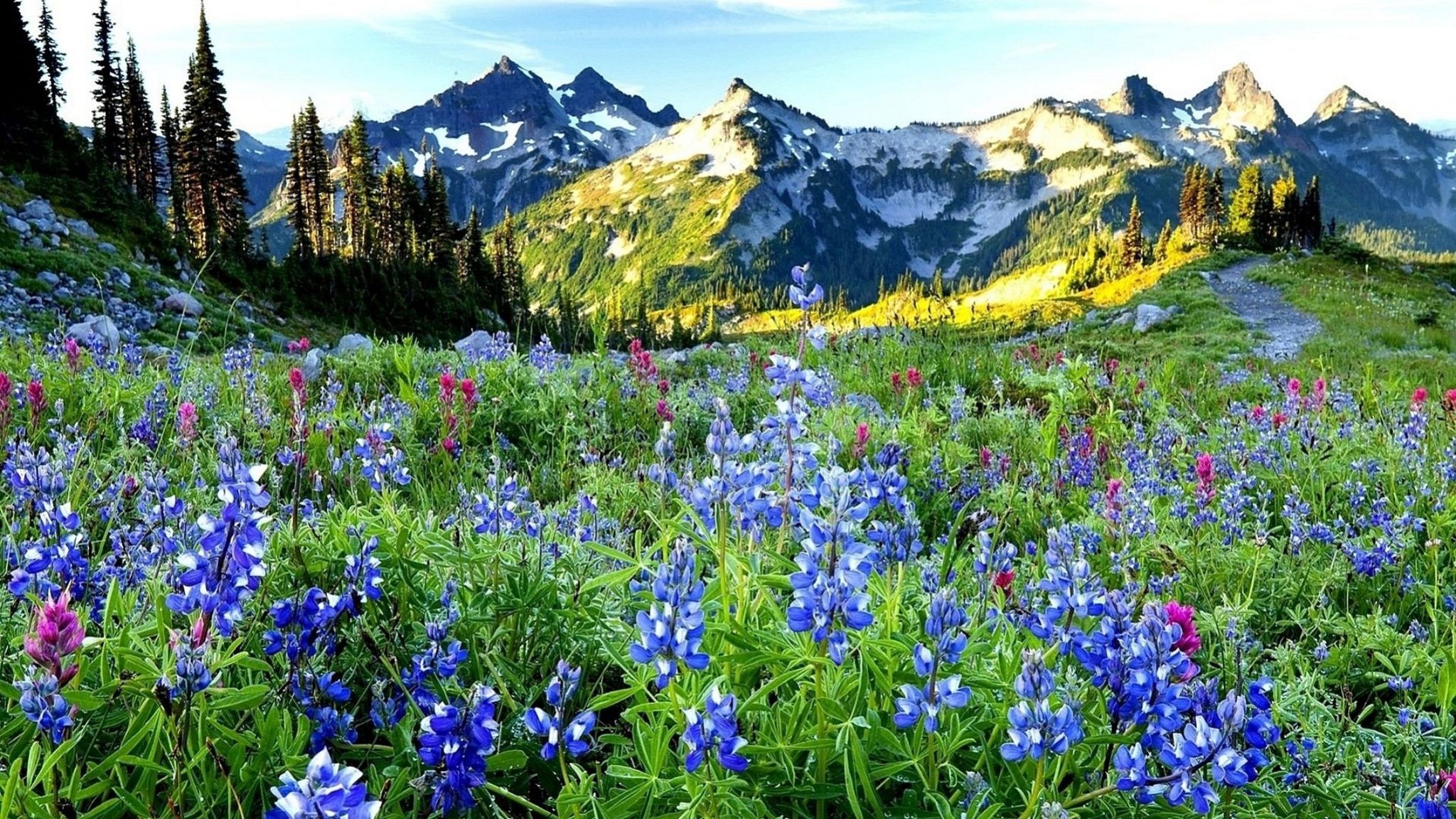 Cover photo for Connie Lorene Anderson 's Obituary