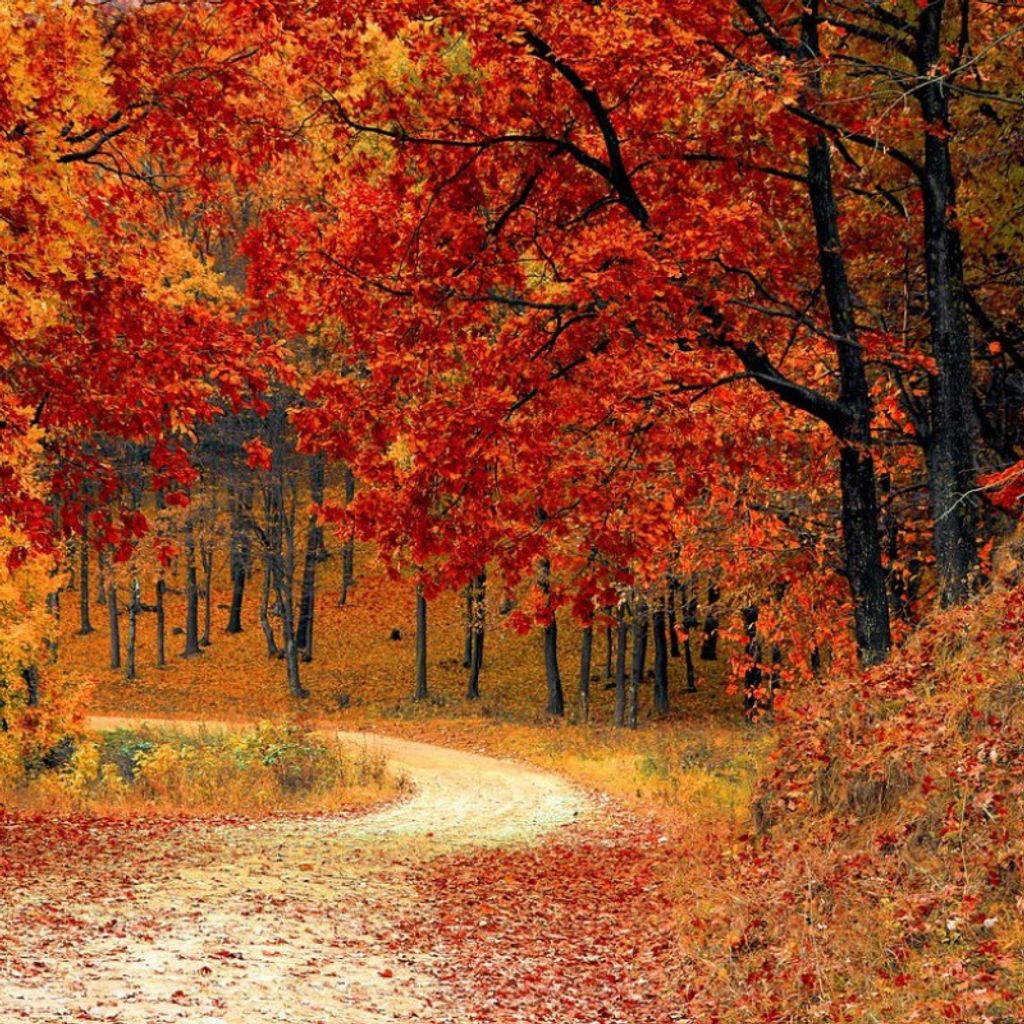 Rodney D. Foster Profile Photo