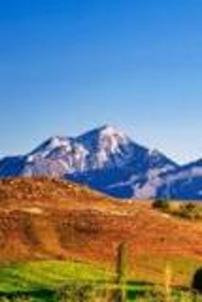 Brenda  Joyce Sandlin Profile Photo