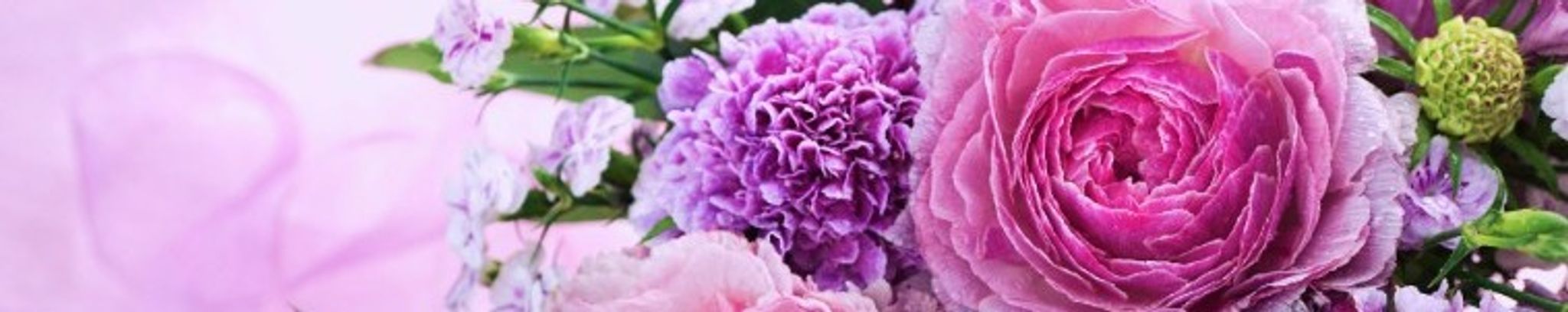Cover photo for Judie Crawford's Obituary