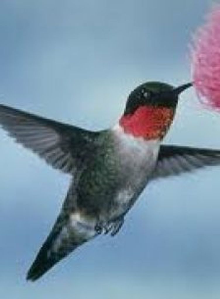 Susan L. Ocealis