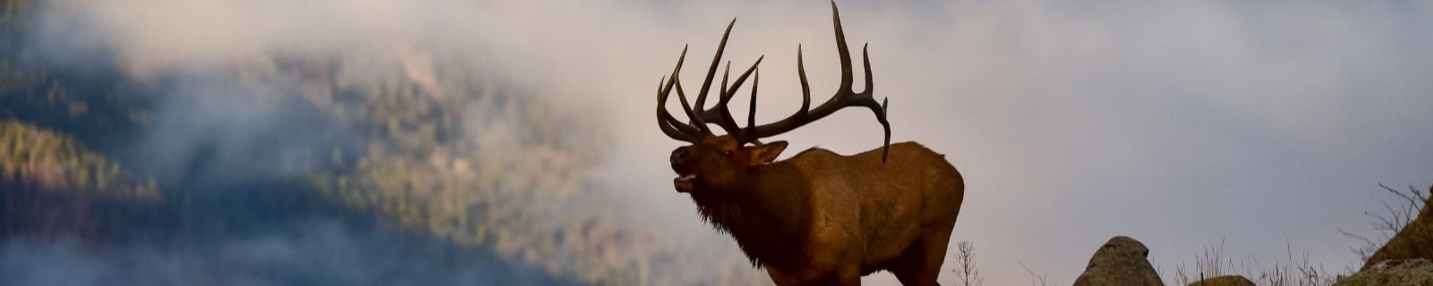 Cover photo for Russell Lee Snow's Obituary