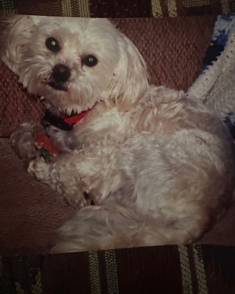 Rocky Nolan Profile Photo