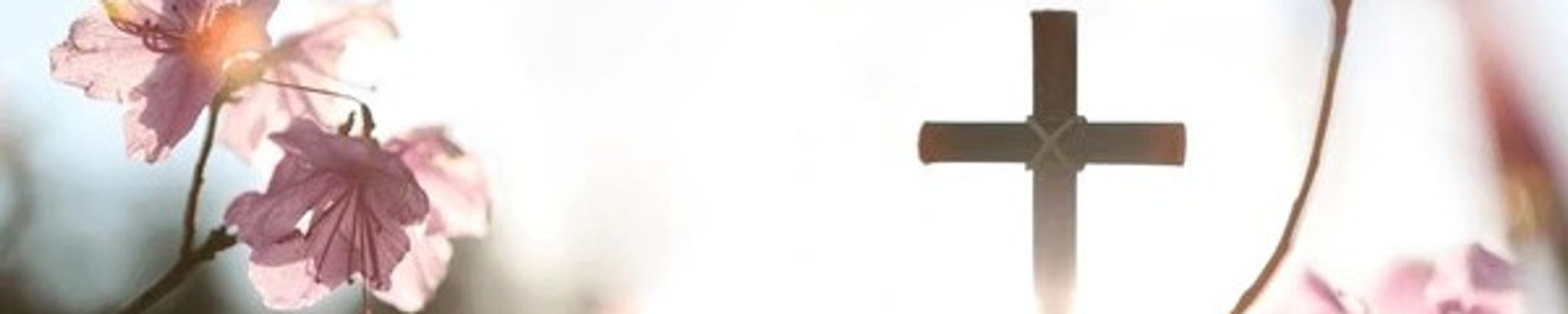 Cover photo for Marilyn T. Huntley's Obituary