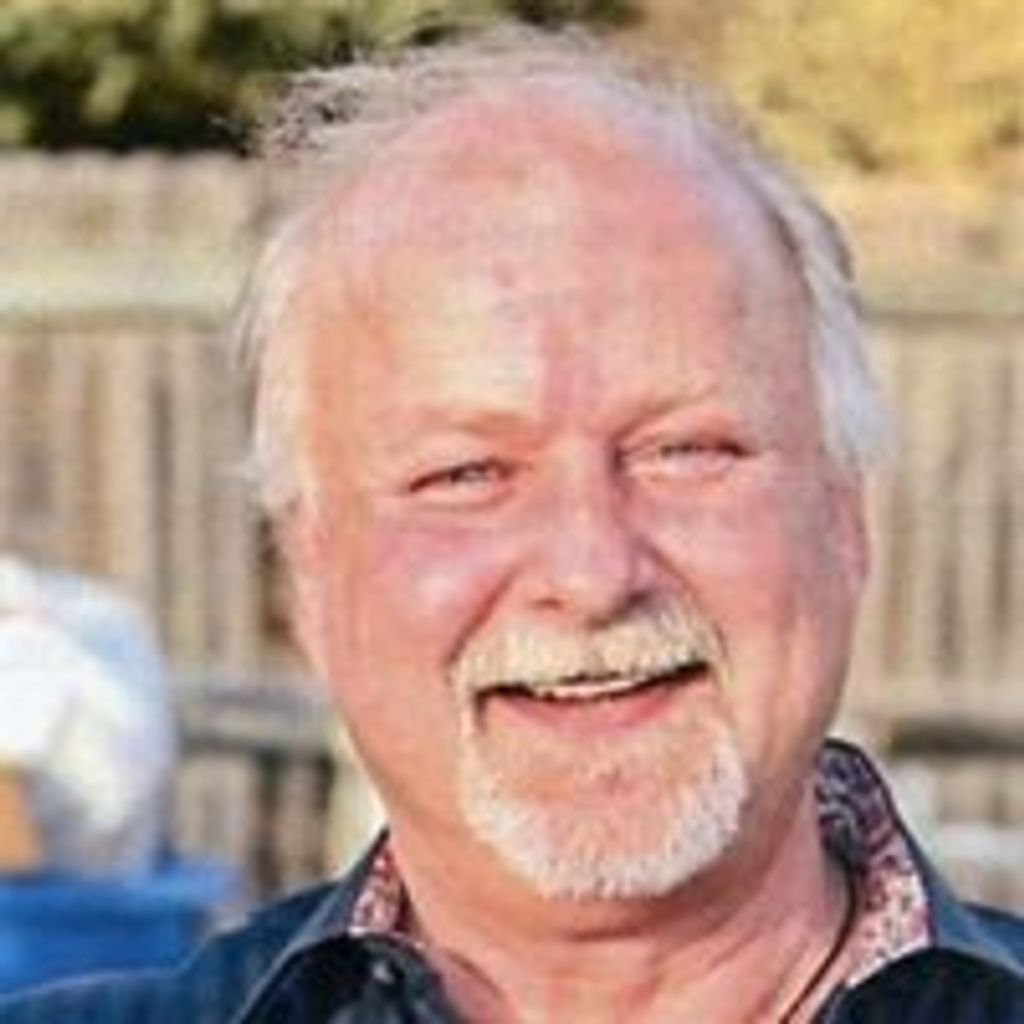 David F Vedral