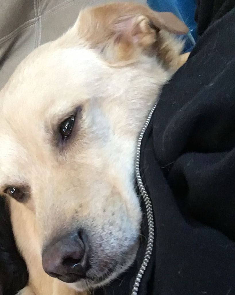 Yogi Elzy-Duncan Profile Photo