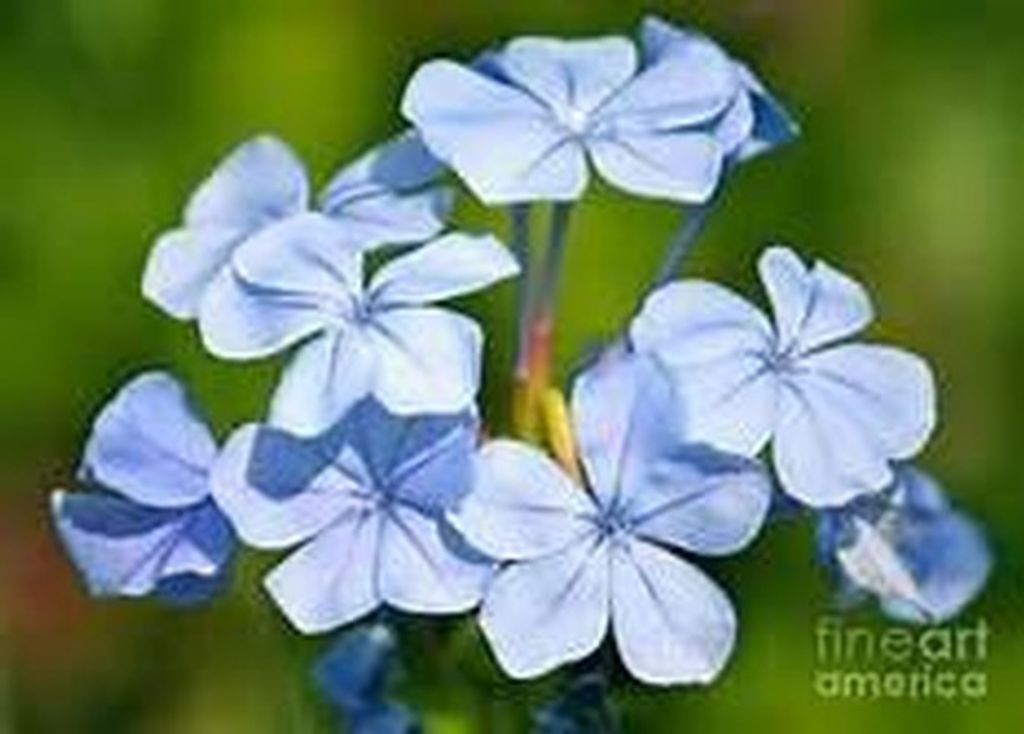 Marlene M. Beu (Nee Reichardt)