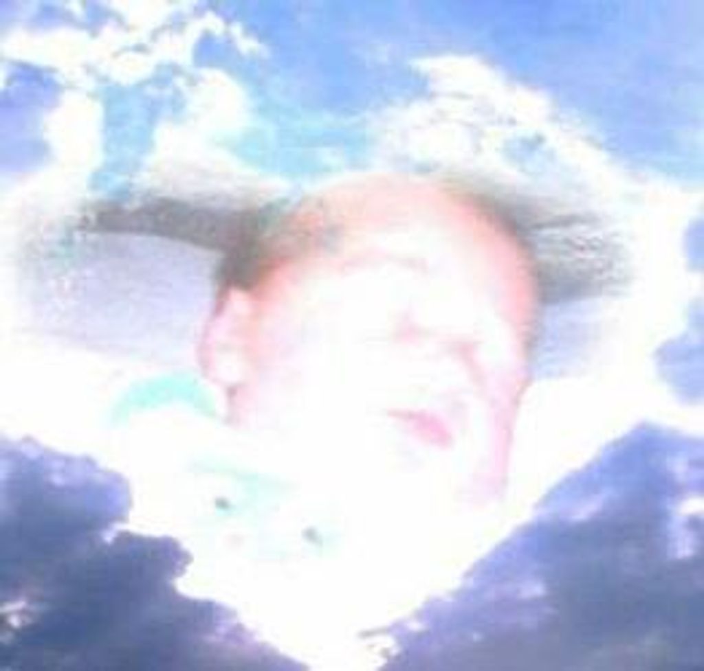 Novalee Wilner Profile Photo