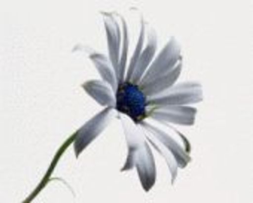 Grace Marie Lundeen Profile Photo
