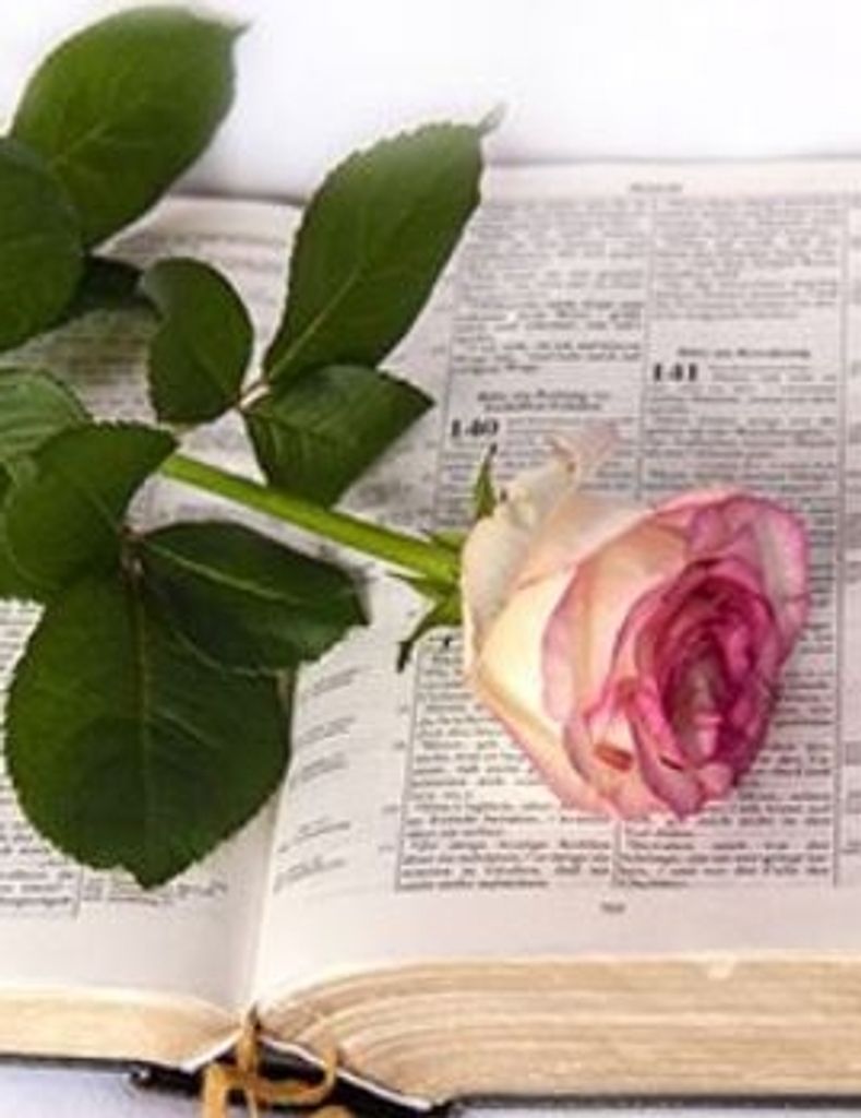 Catherine Frankel Profile Photo