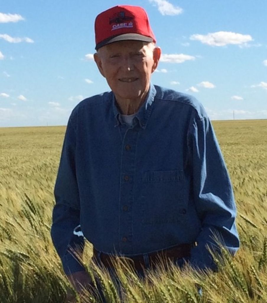 Tommy Ferrell Profile Photo