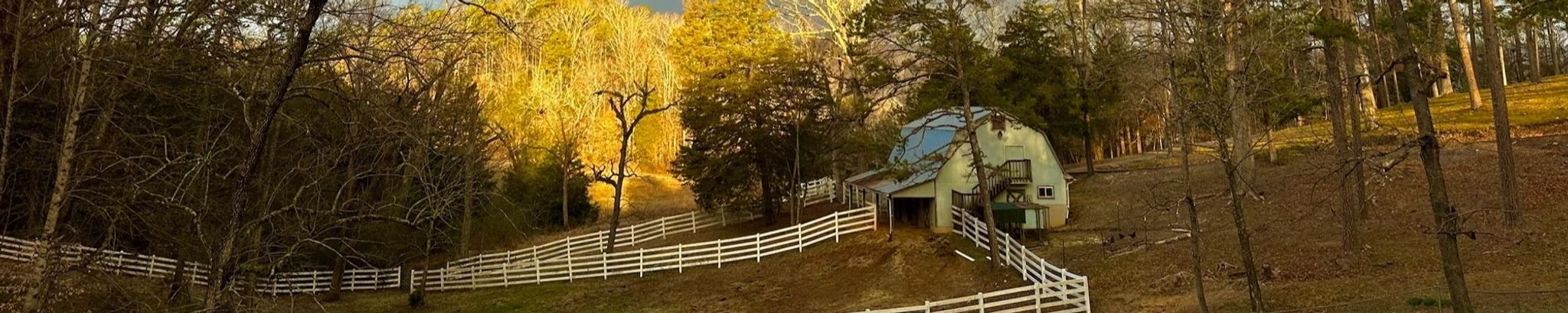 Cover for Michael Metzger's Obituary