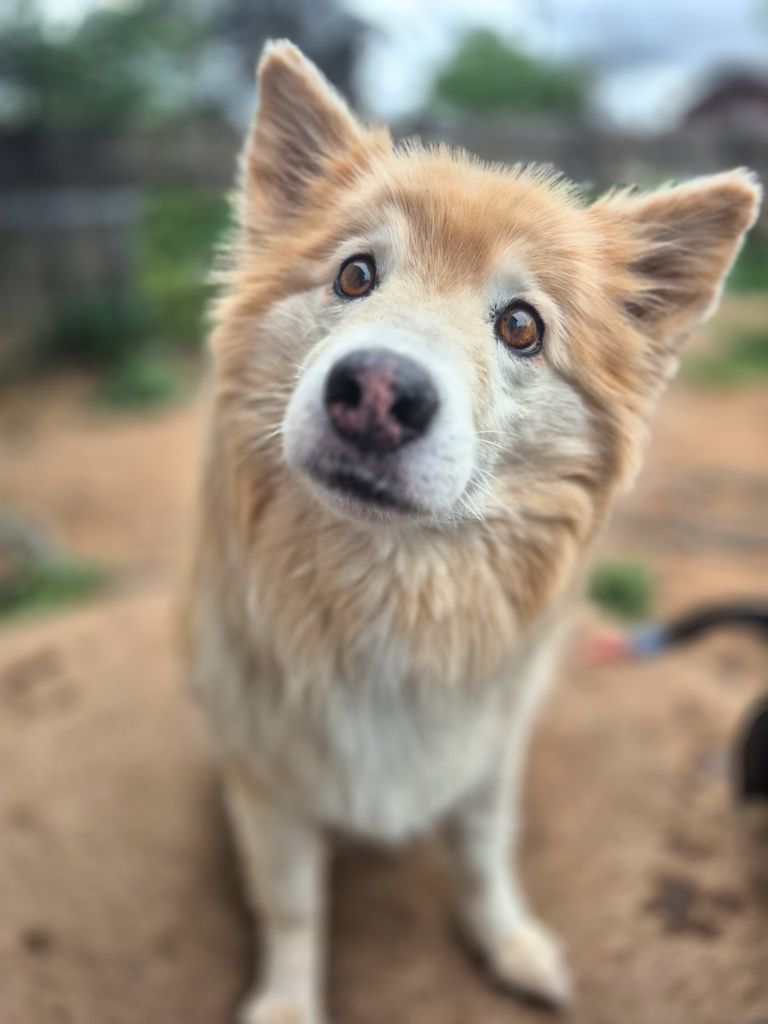 Nollie Profile Photo