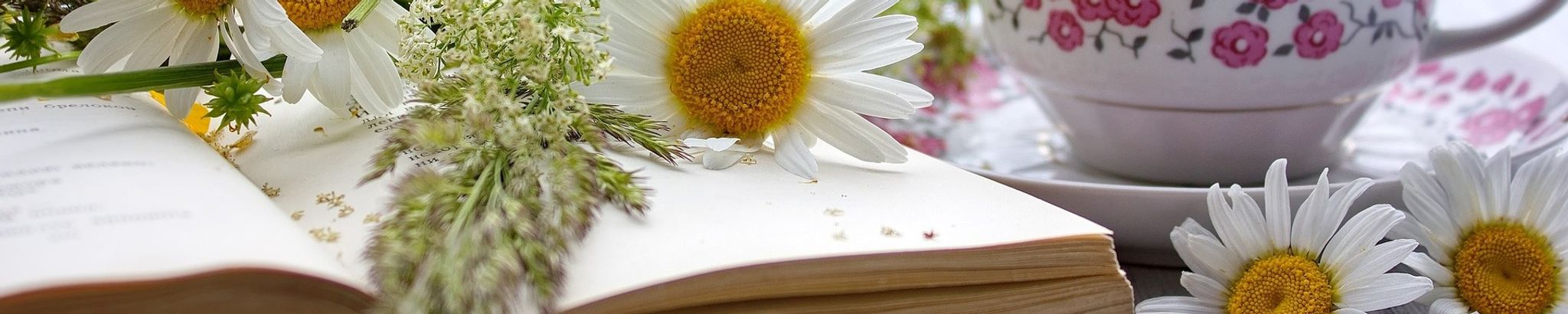 Cover photo for Gaylene Dawson's Obituary