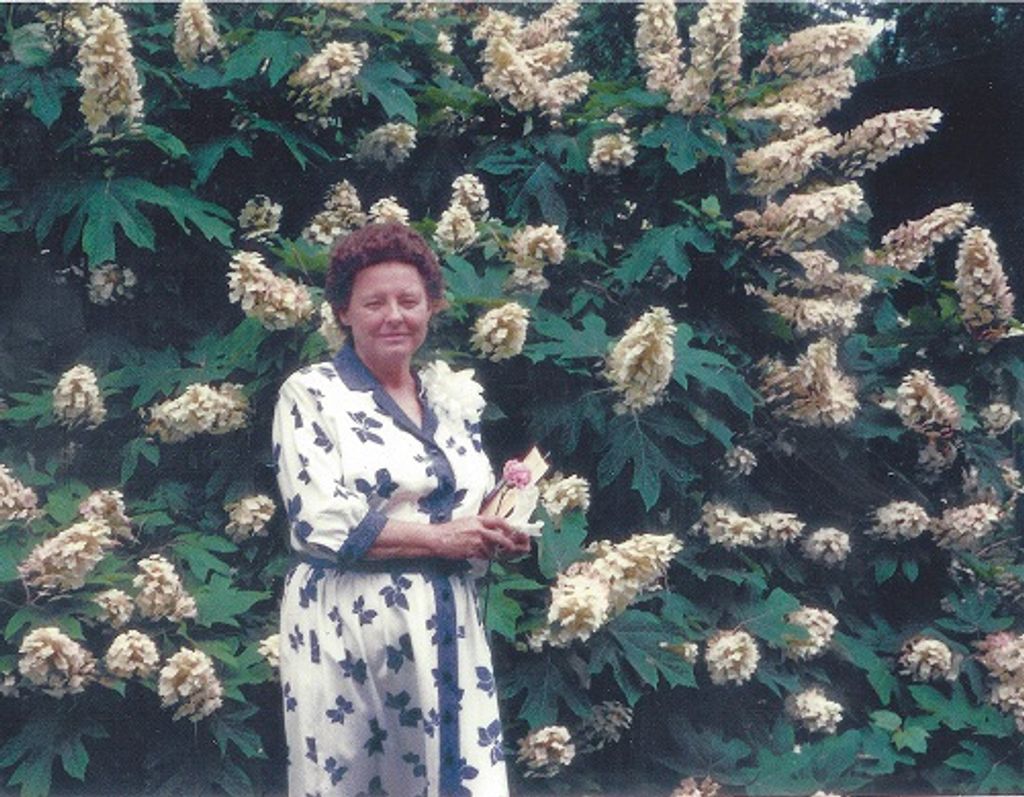 Mary C. Brinkley