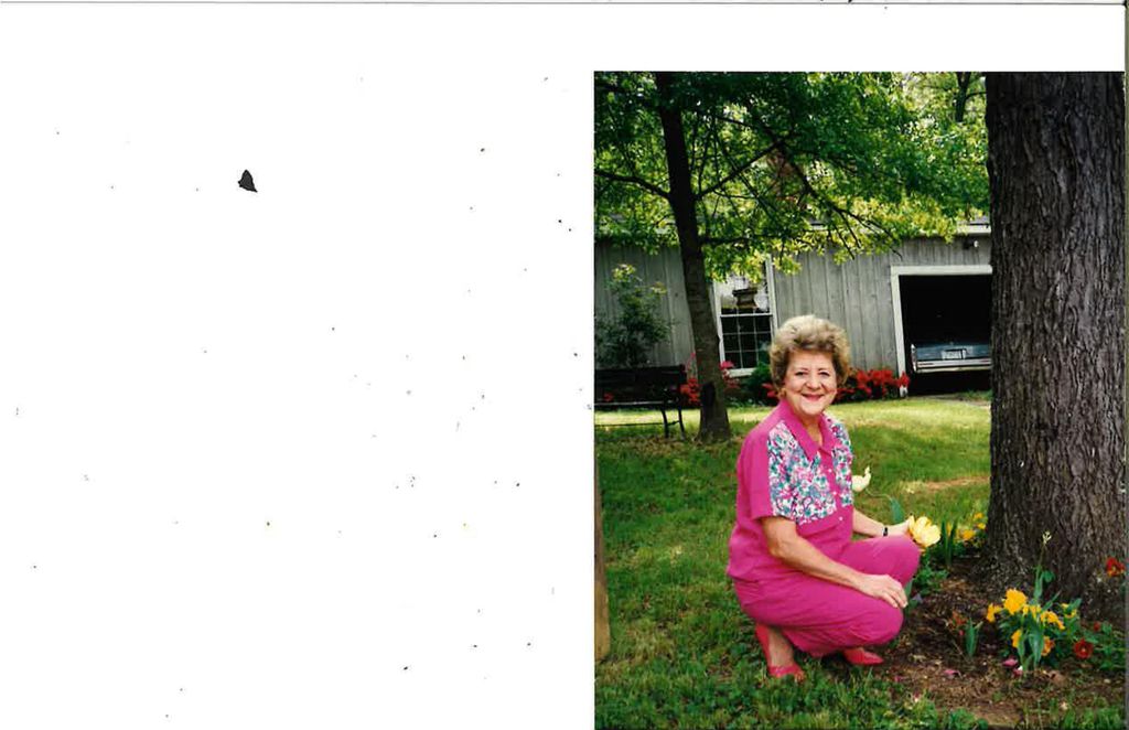 Gail Guinn Williams