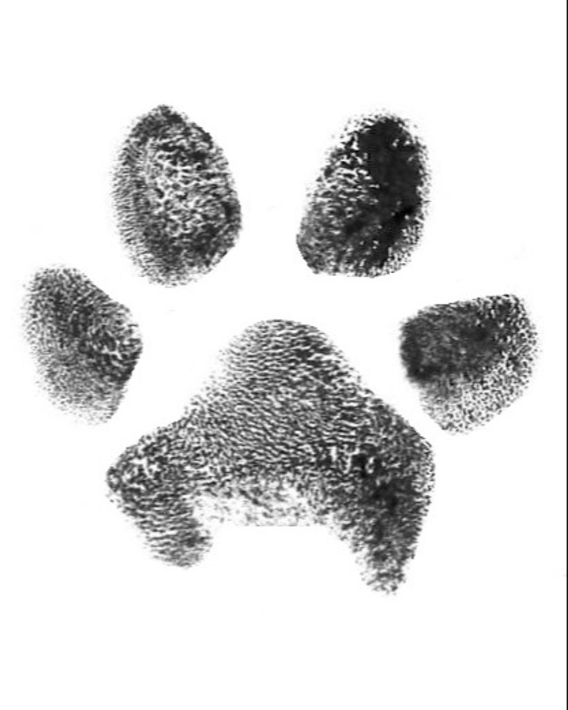 Arya Duncan Profile Photo