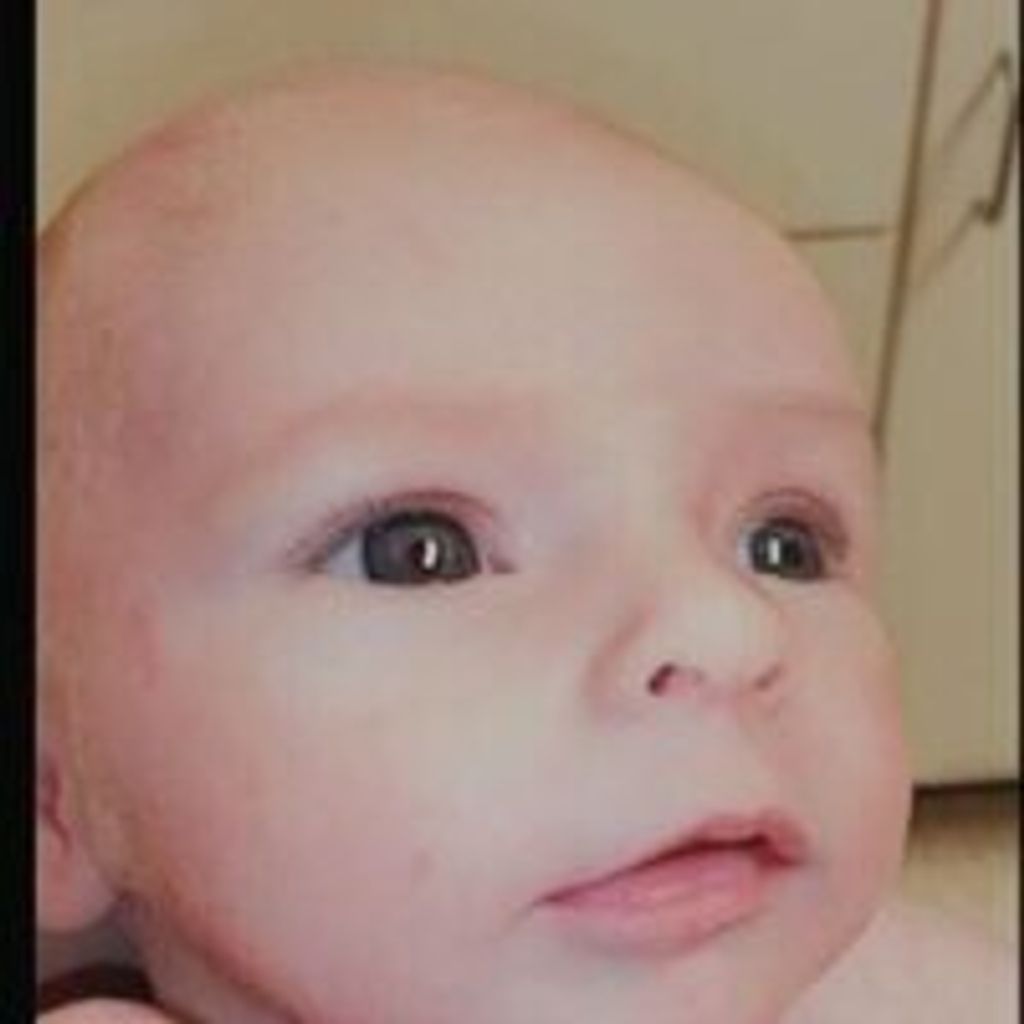 Rocky Nelson Whitaker Schaeffer Profile Photo