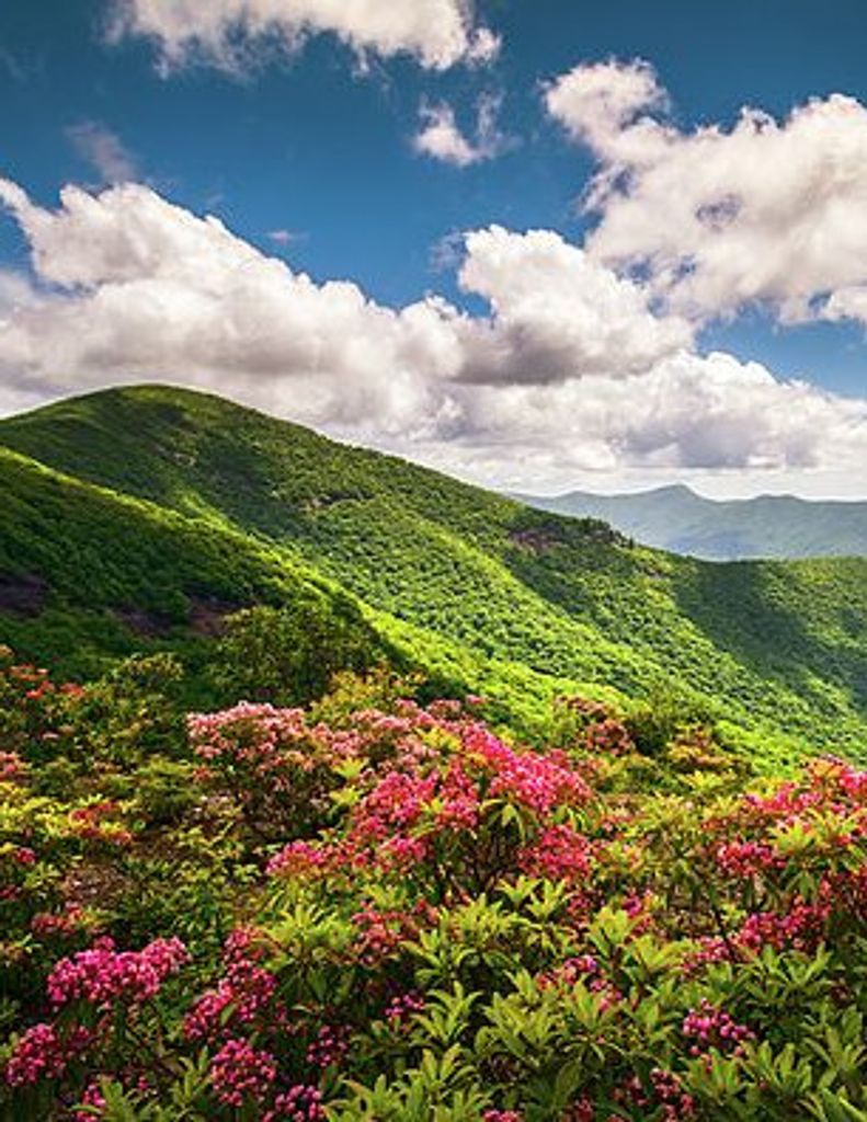 Hilda Virginia Vance Profile Photo