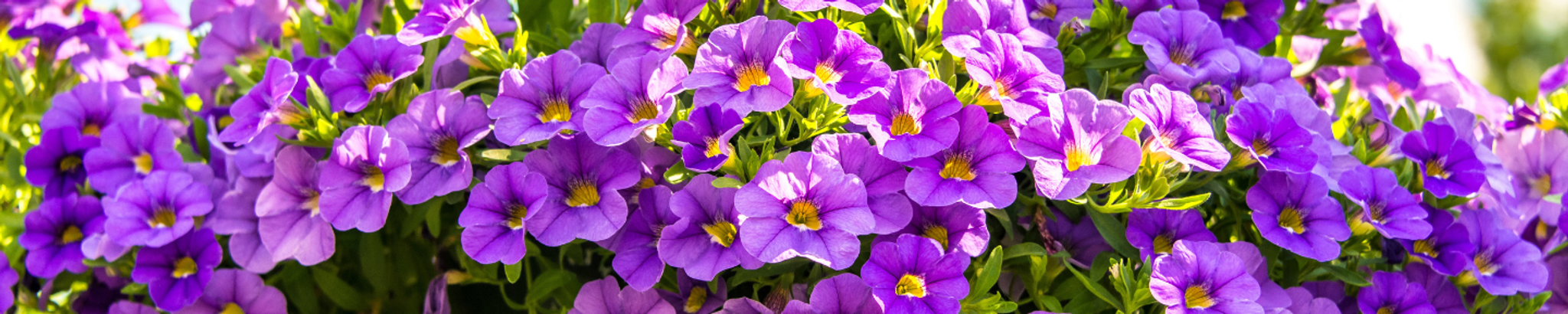 Cover photo for Mildred Gilbert's Obituary