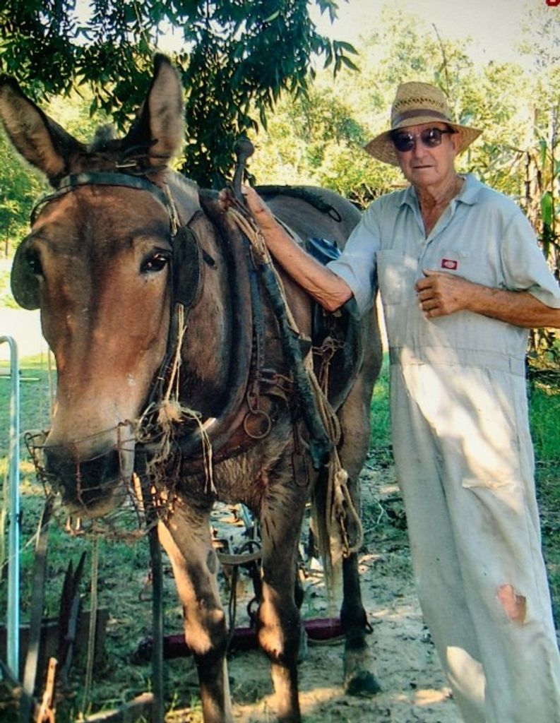 Cecil "Cebo" Cox Profile Photo