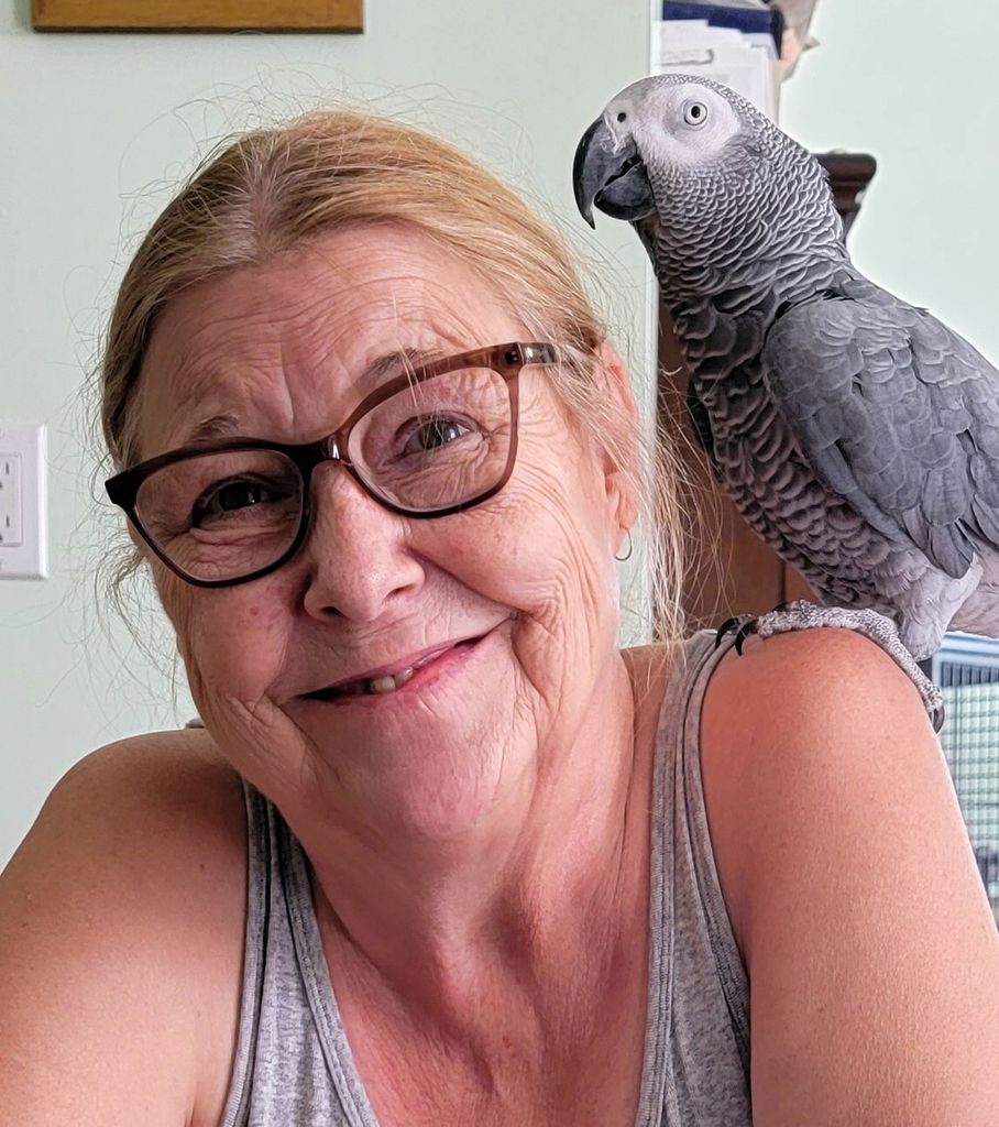 Jody Anne Hardy Profile Photo
