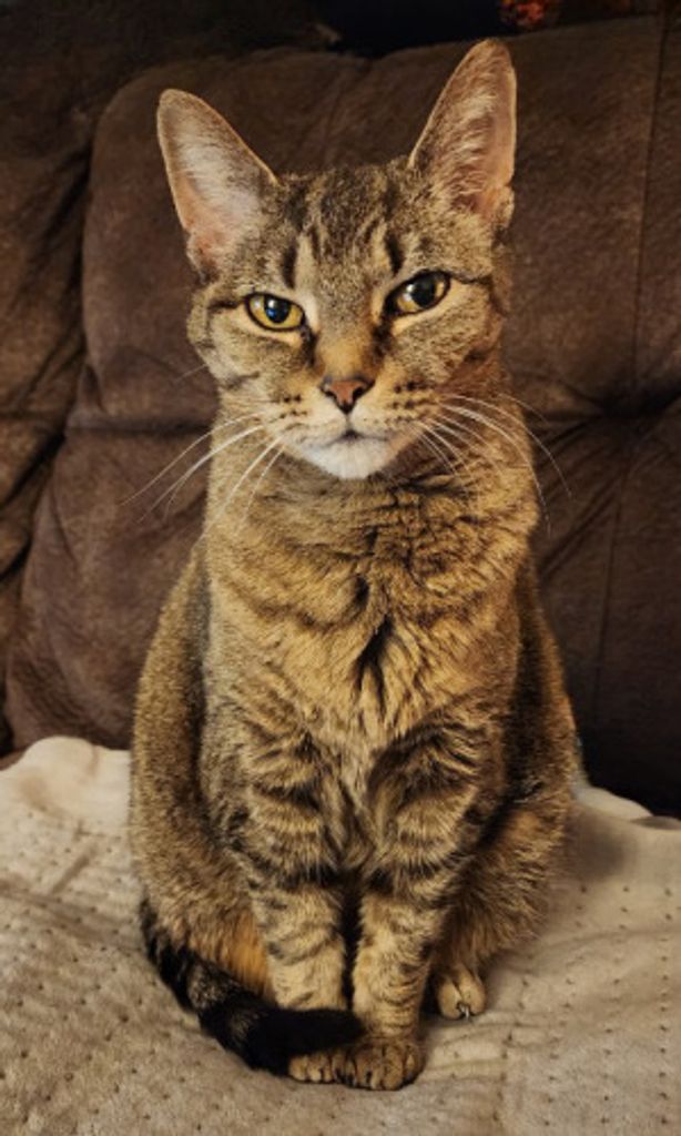 Jamie Lee Hicks Profile Photo