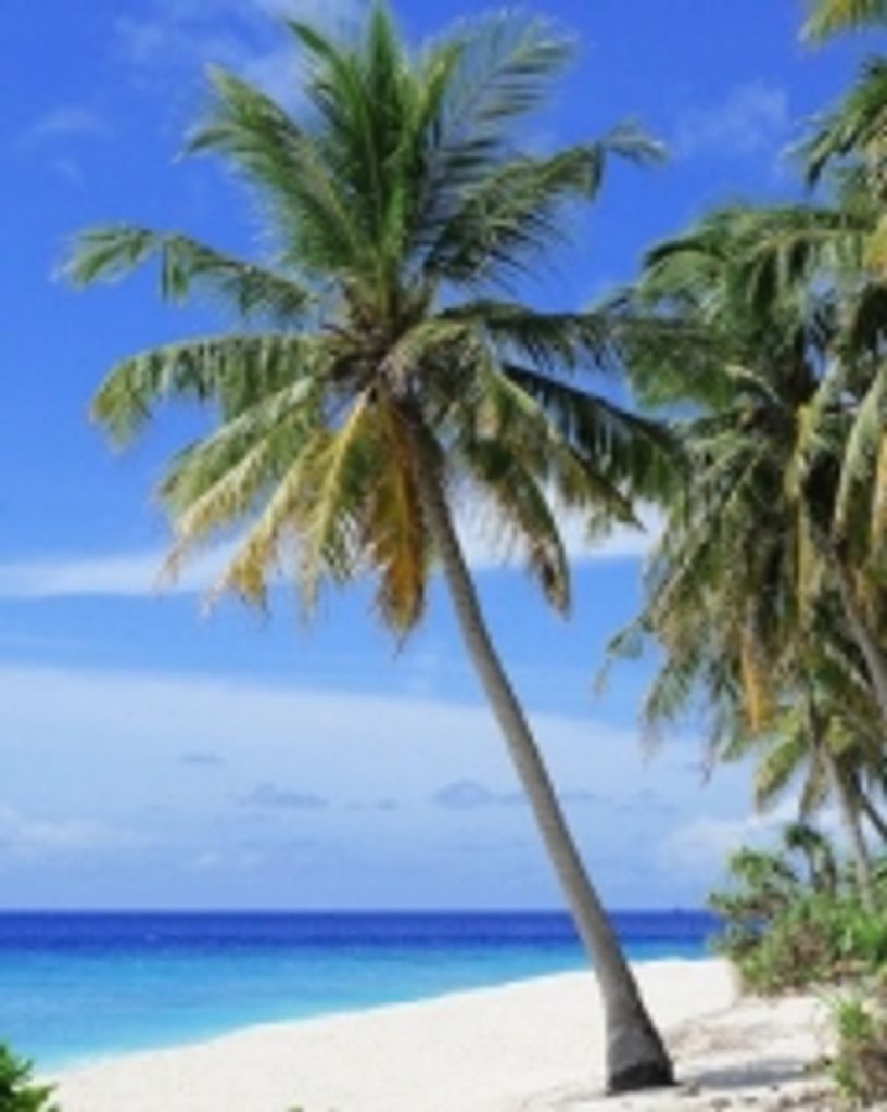 Roland Sarie Profile Photo