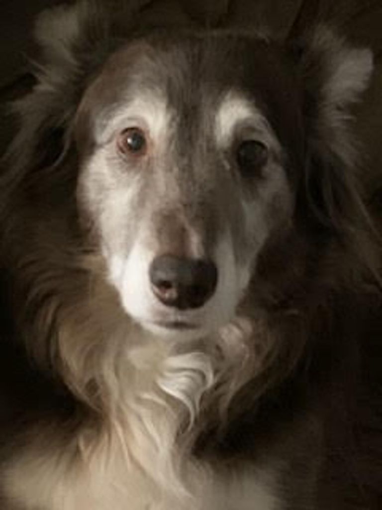 Conner Profile Photo